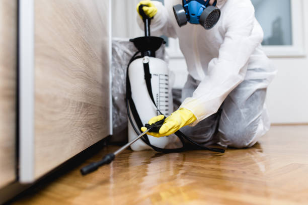 Best Pest Control Near Me in Midlothian, TX