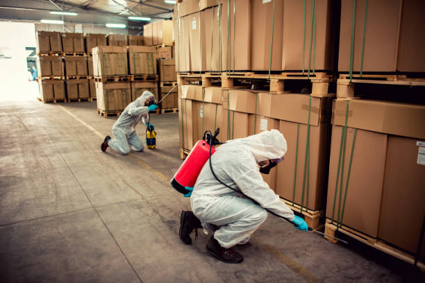 Wasp Removal Services in Midlothian, TX
