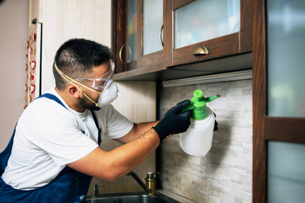 Best Affordable Pest Control Services  in Midlothian, TX
