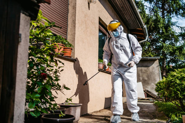 Bird Control in Midlothian, TX
