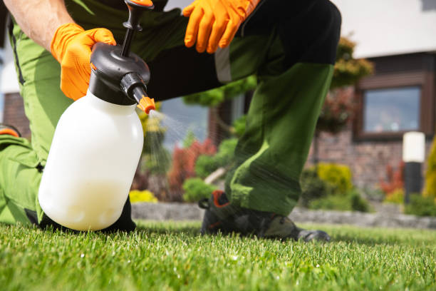 Best Ant Control Services  in Midlothian, TX