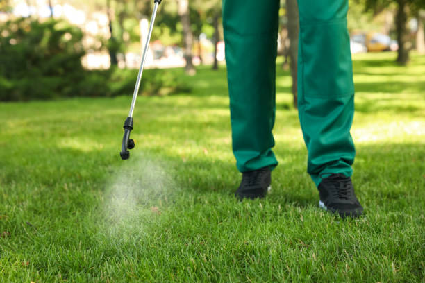 Best Best Pest Control Companies  in Midlothian, TX