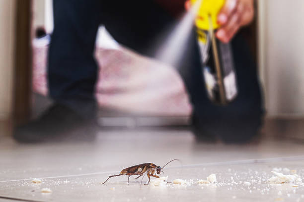 Professional Pest Control in Midlothian, TX