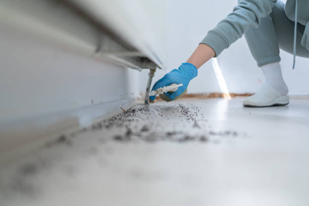 Best Best Pest Control Companies  in Midlothian, TX